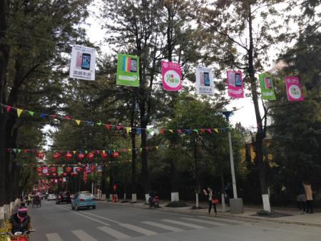 2014年翠湖新春宣傳（移動(dòng)4G業(yè)務(wù)廣告宣傳）